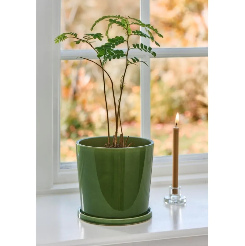 IB Laursen Blumentopf Saga mit Untersetzer
