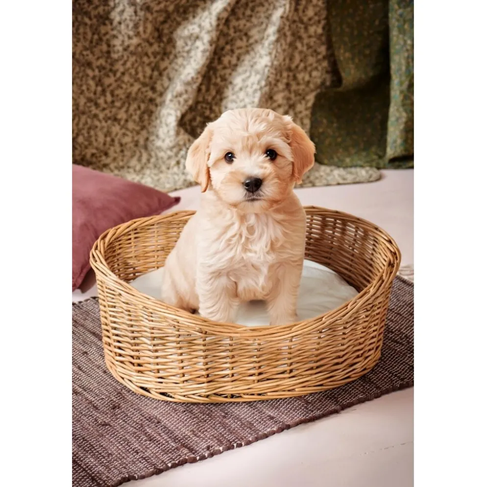 IB Laursen Hundekorb aus Weide mit Kissen