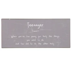 IB Laursen Metallschild Teenager