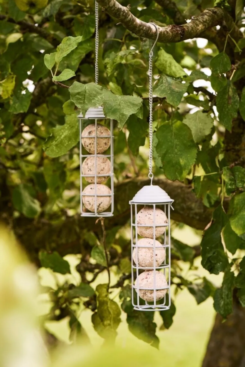 IB Laursen Vogelfutterspender für Meisenknödel