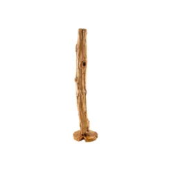 Invicta Interior Skulptur Reef Treibholz Teak